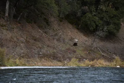 DSC_0197 (Large).JPG